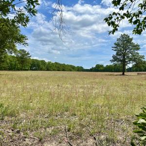 Photo #25 of Off S Caswell St, La Grange, NC 2.0 acres