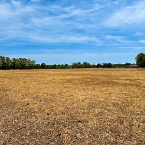 Photo #9 of Off West Rd, Chesapeake, VA 36.0 acres