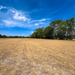 Photo #29 of Off West Rd, Chesapeake, VA 36.0 acres