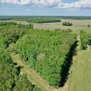 Photo #3 of Off Old County Rd, Belhaven, NC 1.0 acres