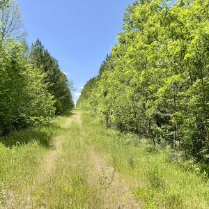 Photo #23 of Off Perry Town Rd, Warrenton, NC 12.9 acres