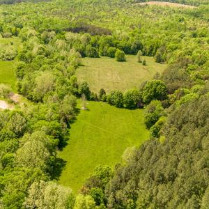 Photo #39 of SOLD property in 268 S Airport Road, Farmville, VA 187.1 acres