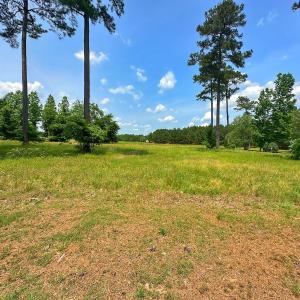 Photo #22 of SOLD property in 145 Cellars Way, Wallace, NC 0.5 acres