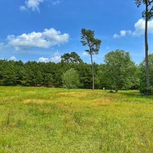 Photo #28 of SOLD property in 145 Cellars Way, Wallace, NC 0.5 acres