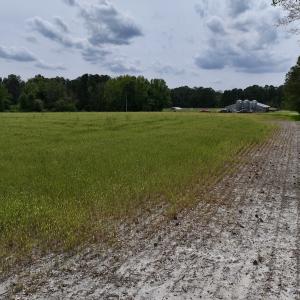Photo #50 of 481 Nine Mile Rd, Maple Hill, NC 65.3 acres