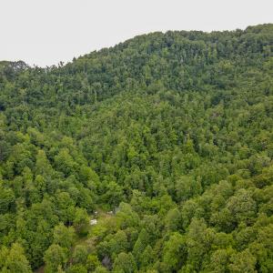 Photo #2 of Off Barton Spur Rd, Ferrum, VA 181.7 acres