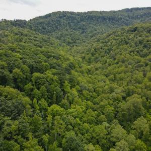 Photo #3 of Off Barton Spur Rd, Ferrum, VA 181.7 acres