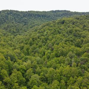 Photo #6 of Off Barton Spur Rd, Ferrum, VA 181.7 acres