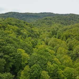 Photo #8 of Off Barton Spur Rd, Ferrum, VA 181.7 acres