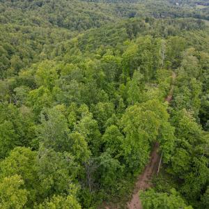 Photo #23 of Off Barton Spur Rd, Ferrum, VA 181.7 acres