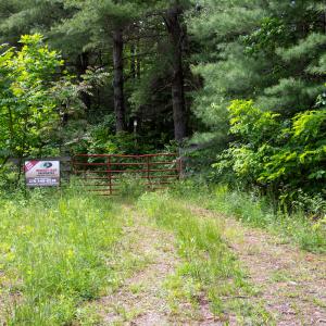 Photo #28 of Off Barton Spur Rd, Ferrum, VA 181.7 acres