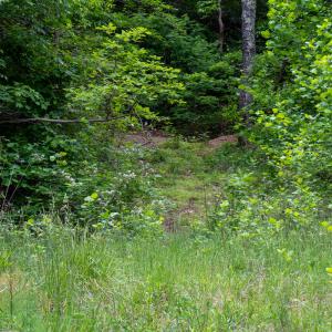 Photo #34 of Off Barton Spur Rd, Ferrum, VA 181.7 acres