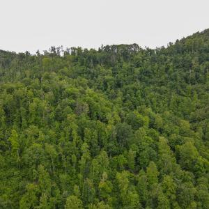 Photo #35 of Off Barton Spur Rd, Ferrum, VA 181.7 acres