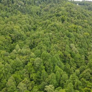 Photo #50 of Off Barton Spur Rd, Ferrum, VA 181.7 acres