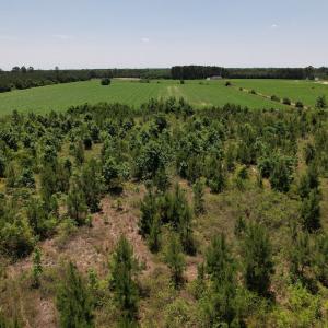 Photo #9 of Off Shannon Road, Shannon, NC 51.9 acres