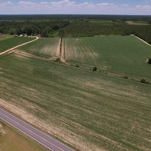 Photo #21 of Off Shannon Road, Shannon, NC 51.9 acres