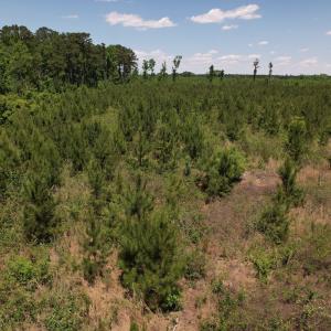 Photo #29 of Off Shannon Road, Shannon, NC 51.9 acres