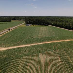 Photo #13 of Off Fodiesville Road, Shannon, NC 9.6 acres