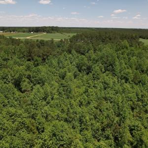Photo #14 of Off Fodiesville Road, Shannon, NC 9.6 acres