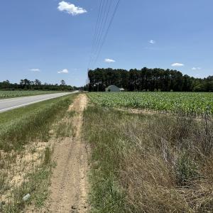 Photo #15 of Off Fodiesville Road, Shannon, NC 9.6 acres