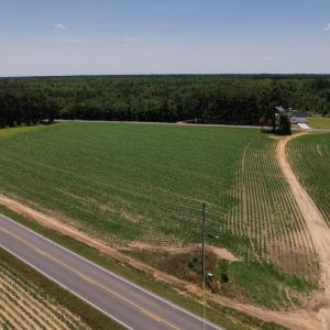 Photo #16 of Off Fodiesville Road, Shannon, NC 9.6 acres