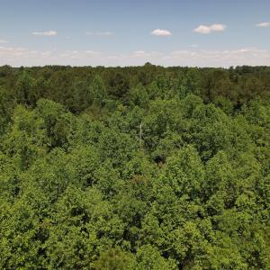 Photo #18 of Off Fodiesville Road, Shannon, NC 9.6 acres