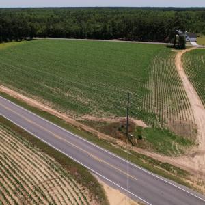 Photo #5 of Off Fodiesville Road, Shannon, NC 9.6 acres