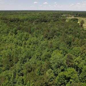 Photo #6 of Off Fodiesville Road, Shannon, NC 9.6 acres