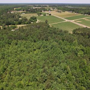 Photo #8 of Off Fodiesville Road, Shannon, NC 9.6 acres