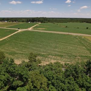 Photo #21 of Off Fodiesville Road, Shannon, NC 9.6 acres