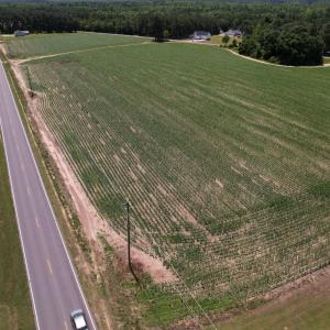 Photo #2 of Off Shannon Road, Shannon, NC 3.5 acres