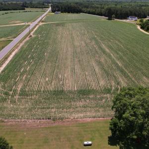 Photo #21 of Off Shannon Road, Shannon, NC 3.5 acres