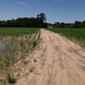 Photo #8 of Off Shannon Road, Shannon, NC 3.5 acres