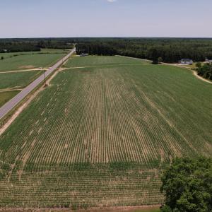 Photo #9 of Off Shannon Road, Shannon, NC 3.5 acres