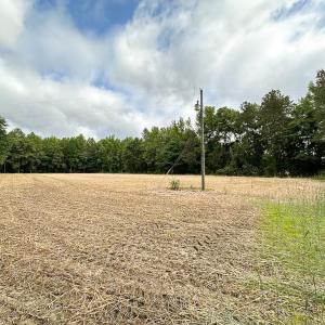 Photo #6 of 368 Greenbriar Rd, Walkerton, VA 9.5 acres