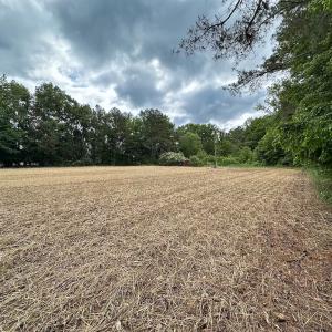 Photo #8 of 368 Greenbriar Rd, Walkerton, VA 9.5 acres