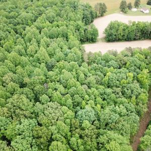 Photo #9 of 368 Greenbriar Rd, Walkerton, VA 9.5 acres