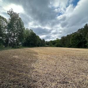 Photo #13 of 368 Greenbriar Rd, Walkerton, VA 9.5 acres