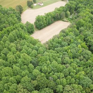 Photo #18 of 368 Greenbriar Rd, Walkerton, VA 9.5 acres