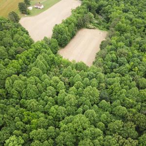 Photo #23 of 368 Greenbriar Rd, Walkerton, VA 9.5 acres