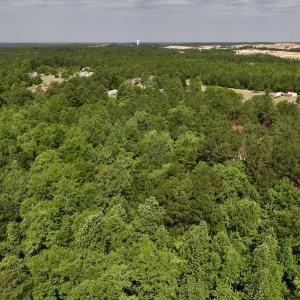 Photo #23 of 228 Farley Rd, Cameron, NC 30.1 acres