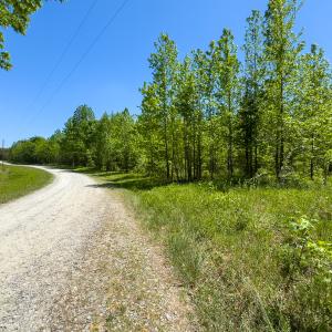 Photo #16 of SOLD property in Lot 1 - Off Wilson Road, Providence, NC 6.8 acres