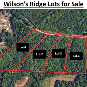 Photo #34 of SOLD property in Lot 1 - Off Wilson Road, Providence, NC 6.8 acres