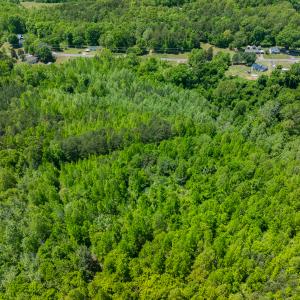 Photo #10 of SOLD property in Lot-2 - Off Wilson Road, Providence, NC 6.2 acres