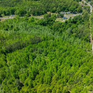 Photo #13 of SOLD property in Lot-2 - Off Wilson Road, Providence, NC 6.2 acres
