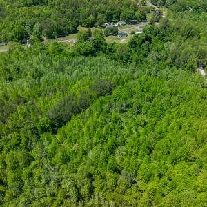 Photo #16 of SOLD property in Lot-2 - Off Wilson Road, Providence, NC 6.2 acres