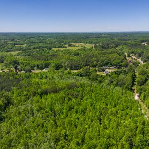 Photo #18 of SOLD property in Lot-2 - Off Wilson Road, Providence, NC 6.2 acres