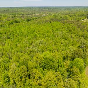 Photo #30 of SOLD property in Lot-2 - Off Wilson Road, Providence, NC 6.2 acres