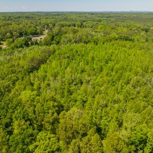 Photo #35 of SOLD property in Lot-2 - Off Wilson Road, Providence, NC 6.2 acres