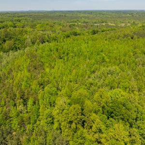 Photo #38 of SOLD property in Lot-2 - Off Wilson Road, Providence, NC 6.2 acres